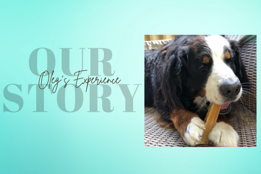 Bone Marrow Chews - our Story