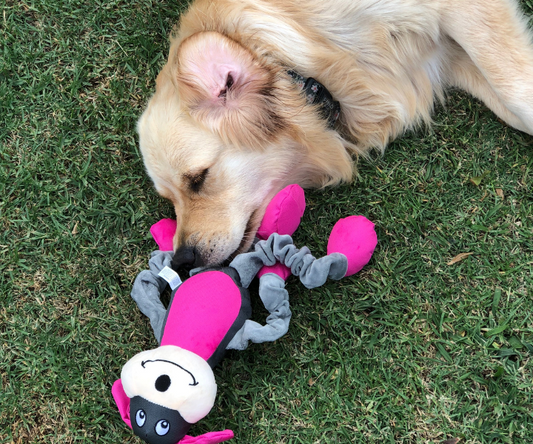 The Science of Plush Toys: How They Help with Anxiety and Stress in Dogs