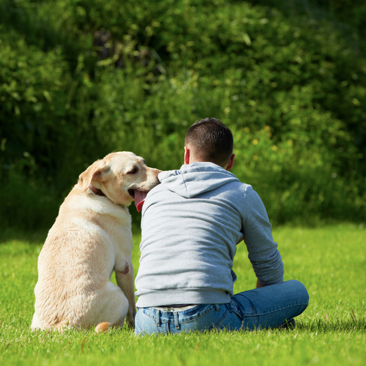 Best Father's Day Activities for Dog Dads: Mans Best Friend