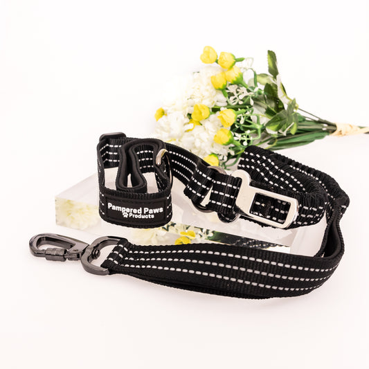 shock absorbing dog leash