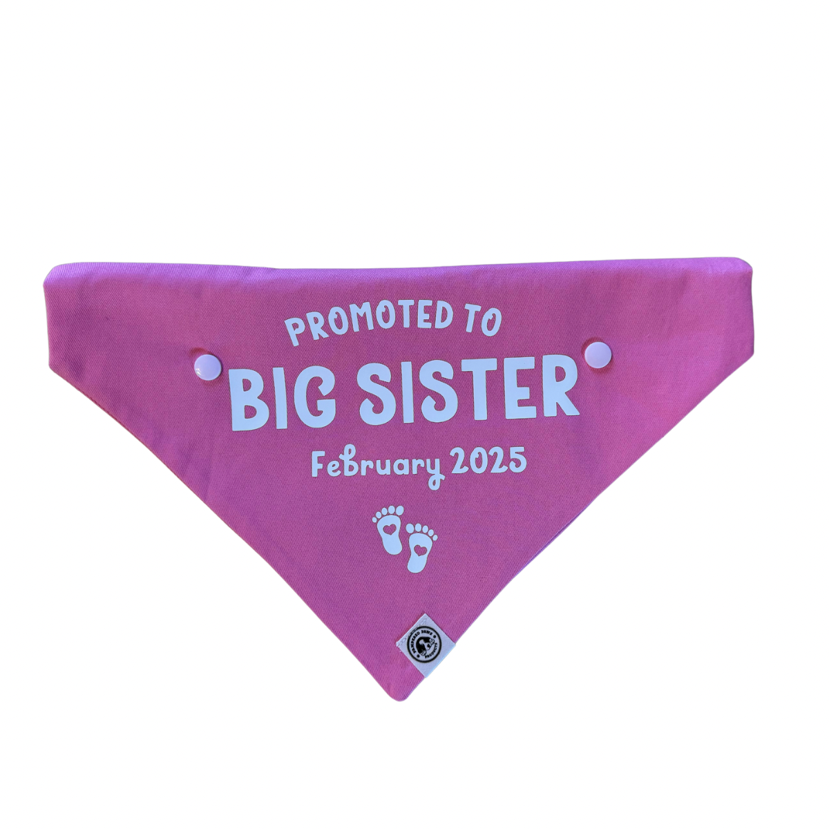 Baby Announcement - Big Sister Dog Bandana