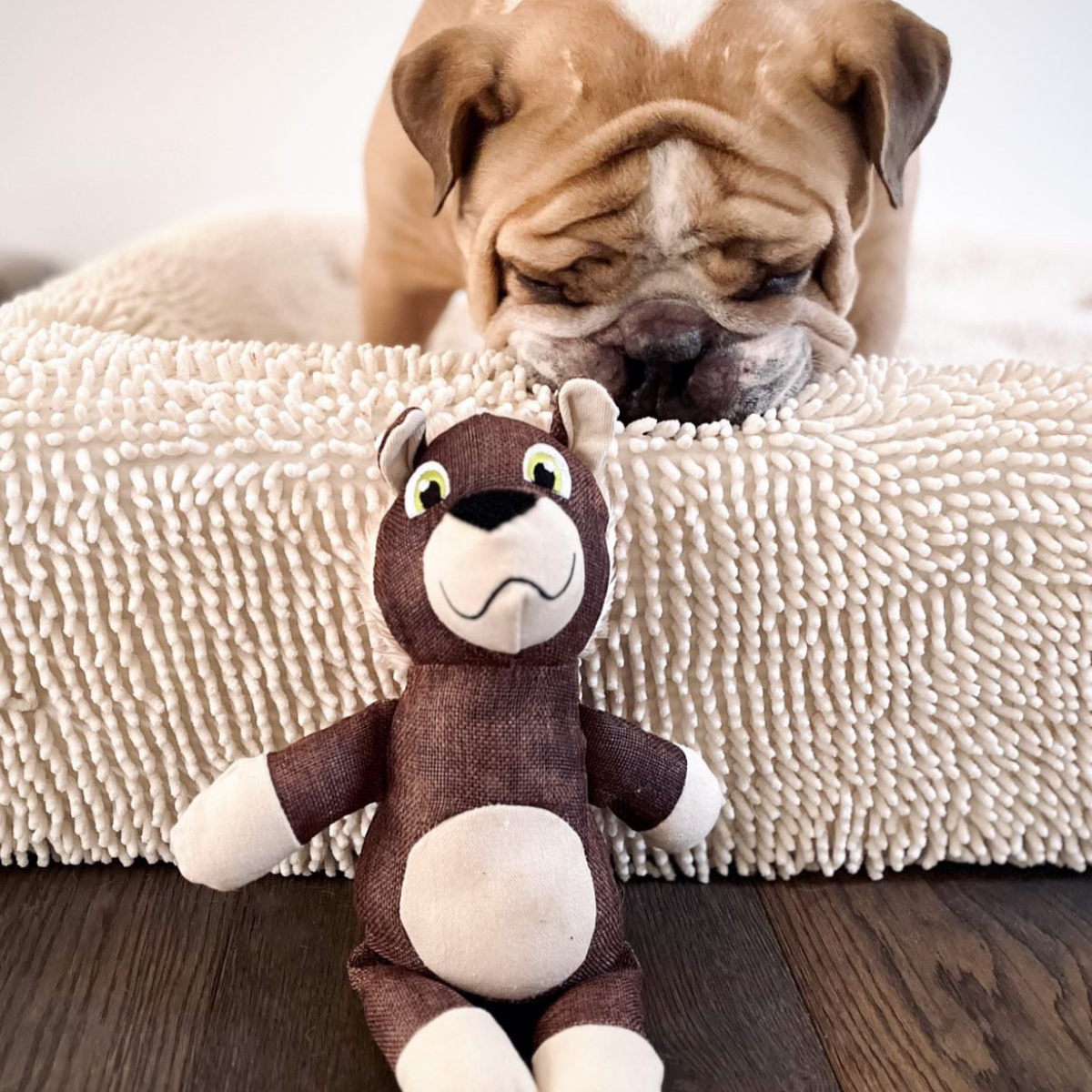 Dog Soft Toy