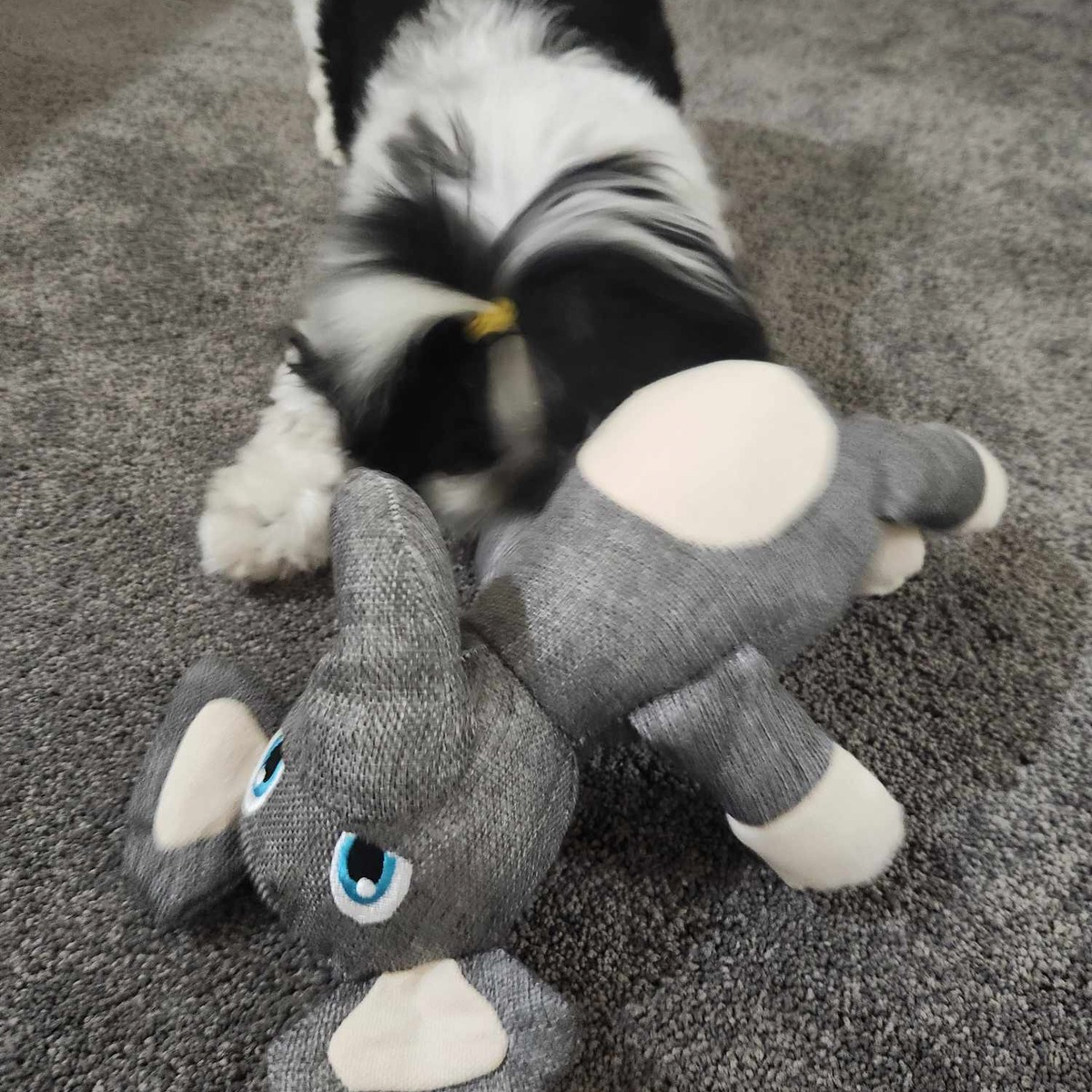 Dog Soft Toy