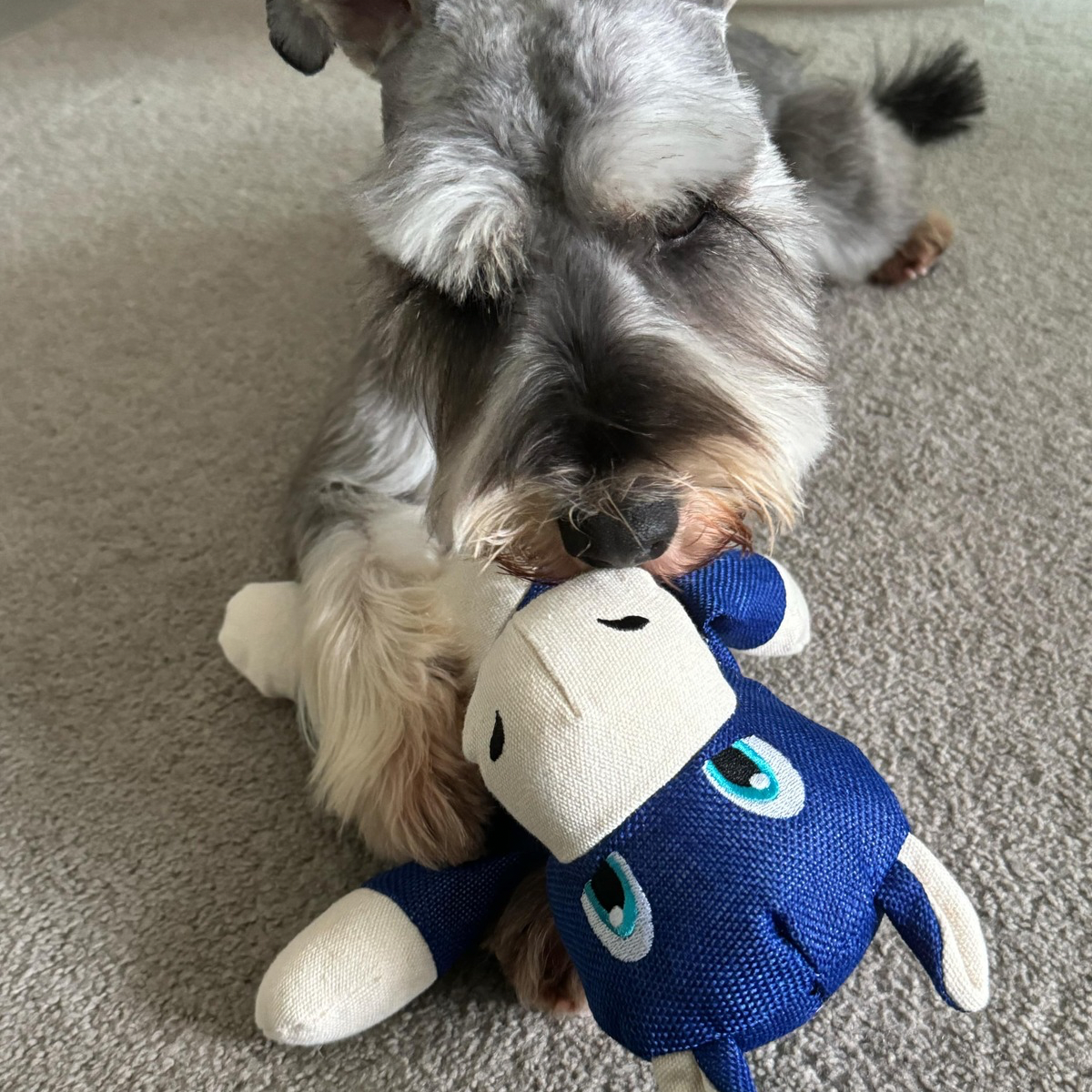 Dog Plush Toy