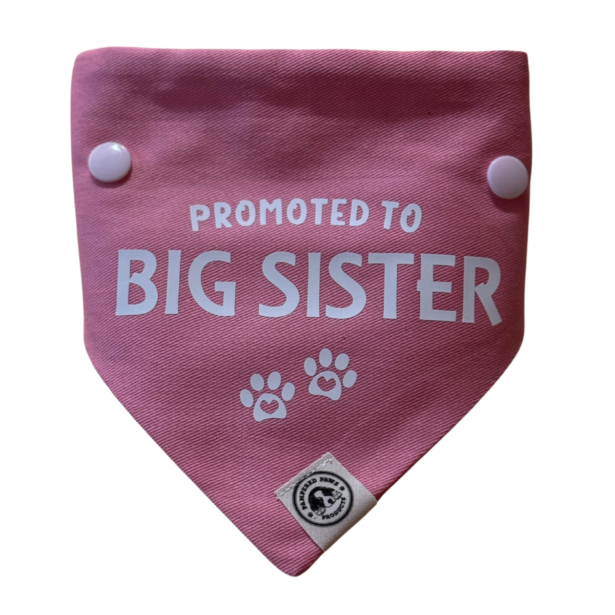 Promoted to Big Sister Dog Bandana
