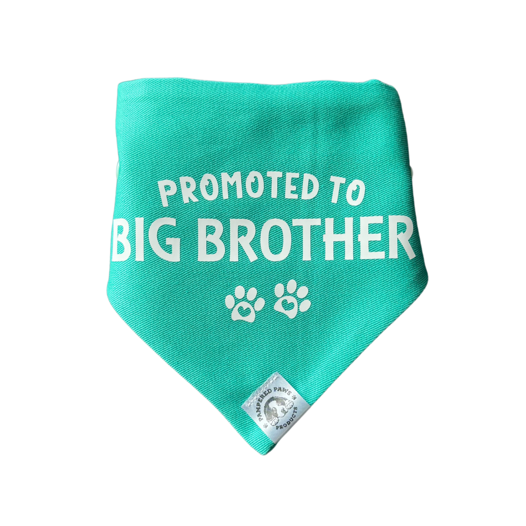 Baby Announcement - Big Brother Dog Bandana