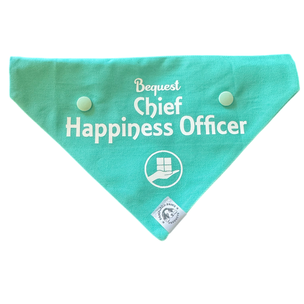 Baby Announcement - Big Brother Dog Bandana