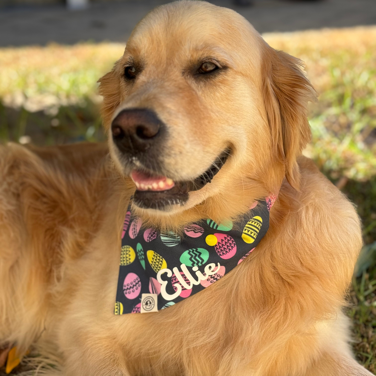 Easter Eggs Dog Bandana