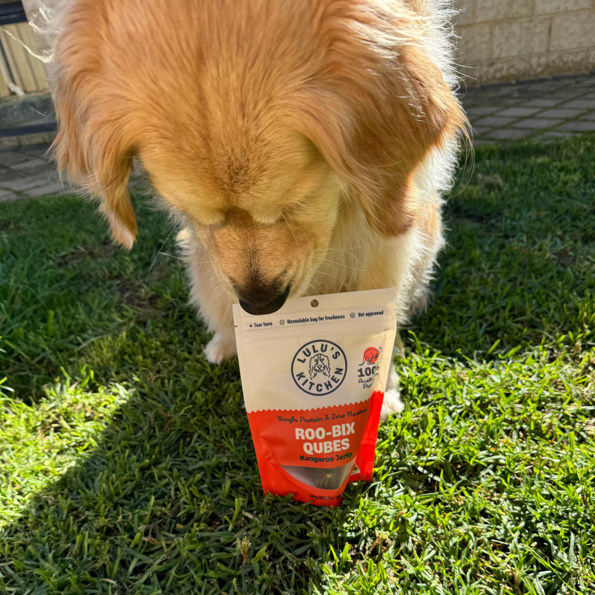 Dog Treats