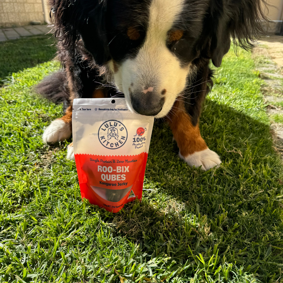 Dog Treats - Kangaroo