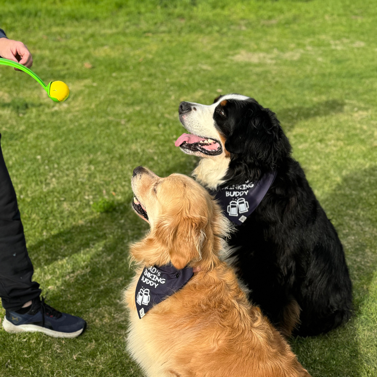 Drinking Buddy - Beer Dog Bandana
