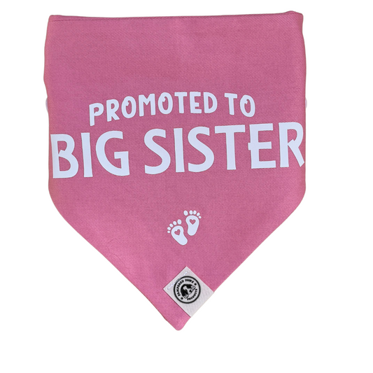 Baby Announcement - Dog Bandana