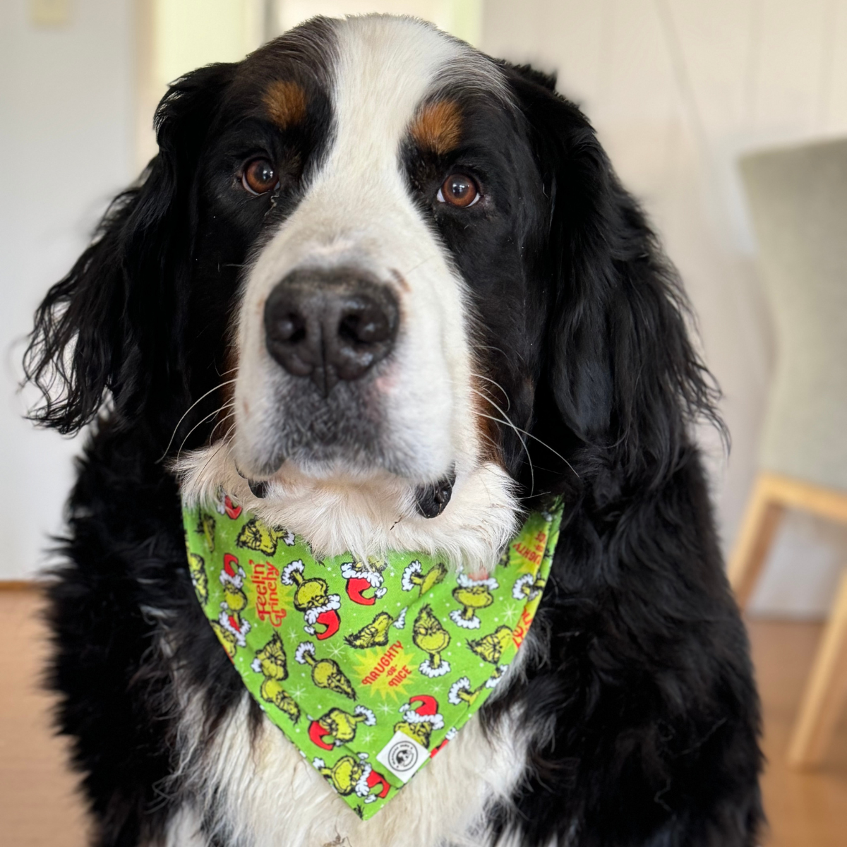 Grinchmas Christmas Bandana