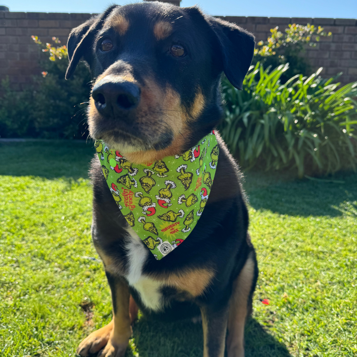 Grinchmas Christmas Bandana