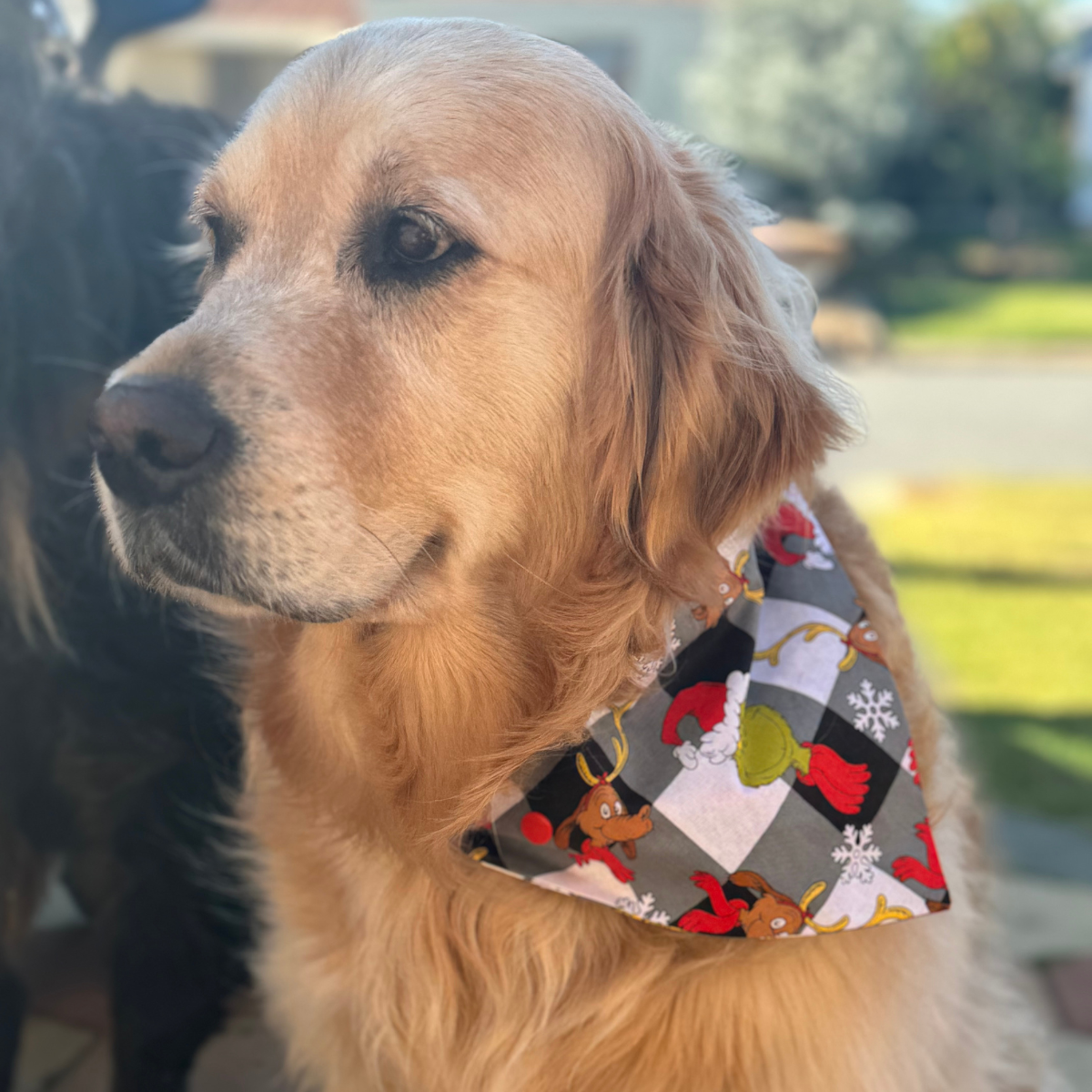 Grinches Christmas Dog Bandana