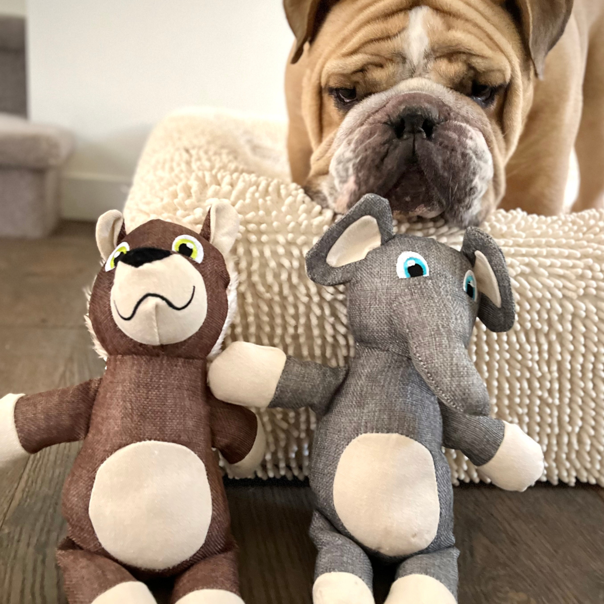 Dog Soft Toy