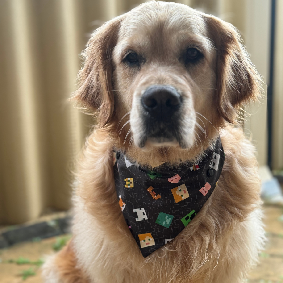 Minecraft Dog Bandana