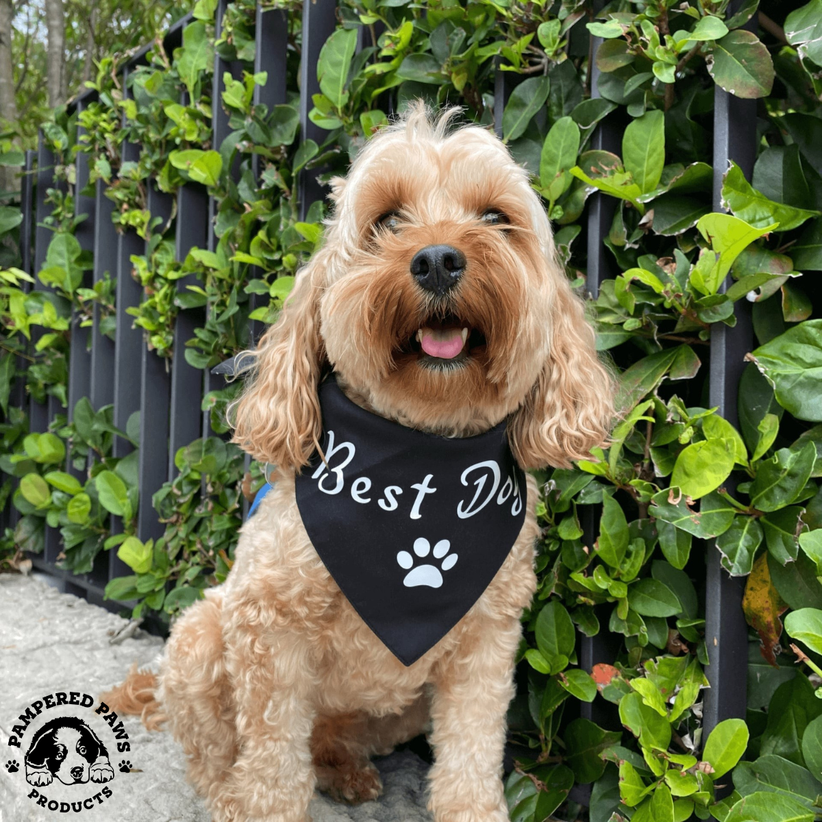 Dog wearing a black bandana with 'Best Dog' text and paw print, standing in front of green foliage. Fo Best dog at weddings