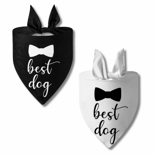 Two dog bandanas with 'best dog' text and bow ties on a white background