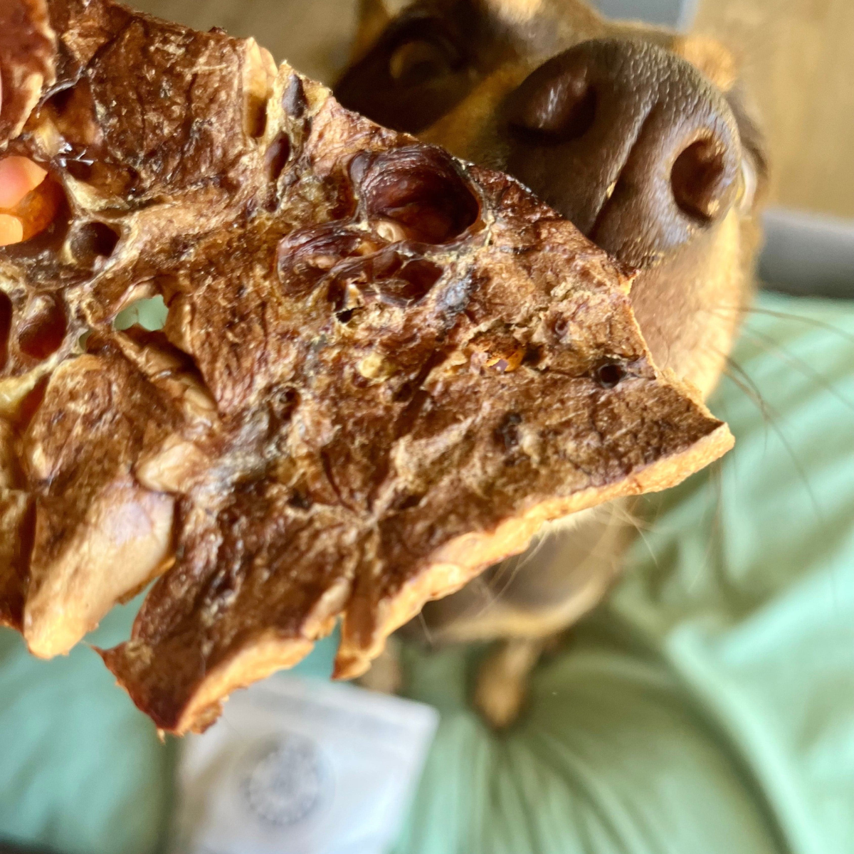 Pork Crisps - dog treats