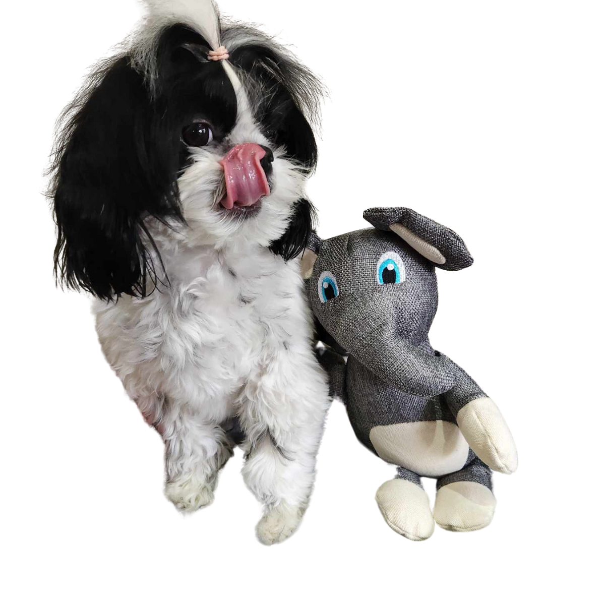 Dog Plush Toy
