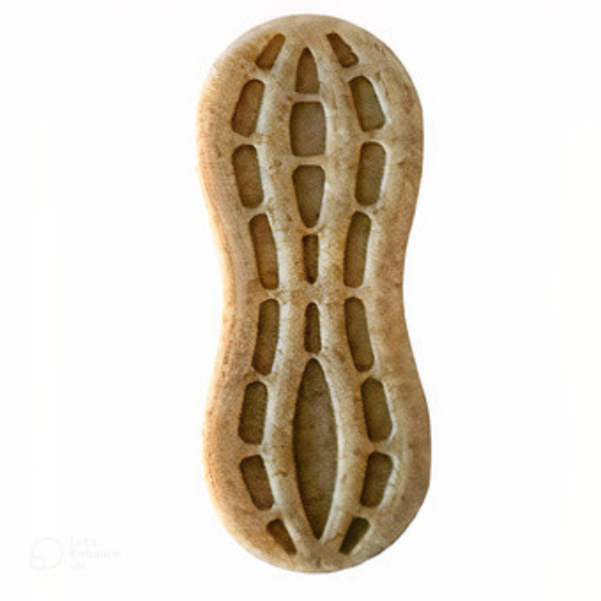 Strong Dog chew toys