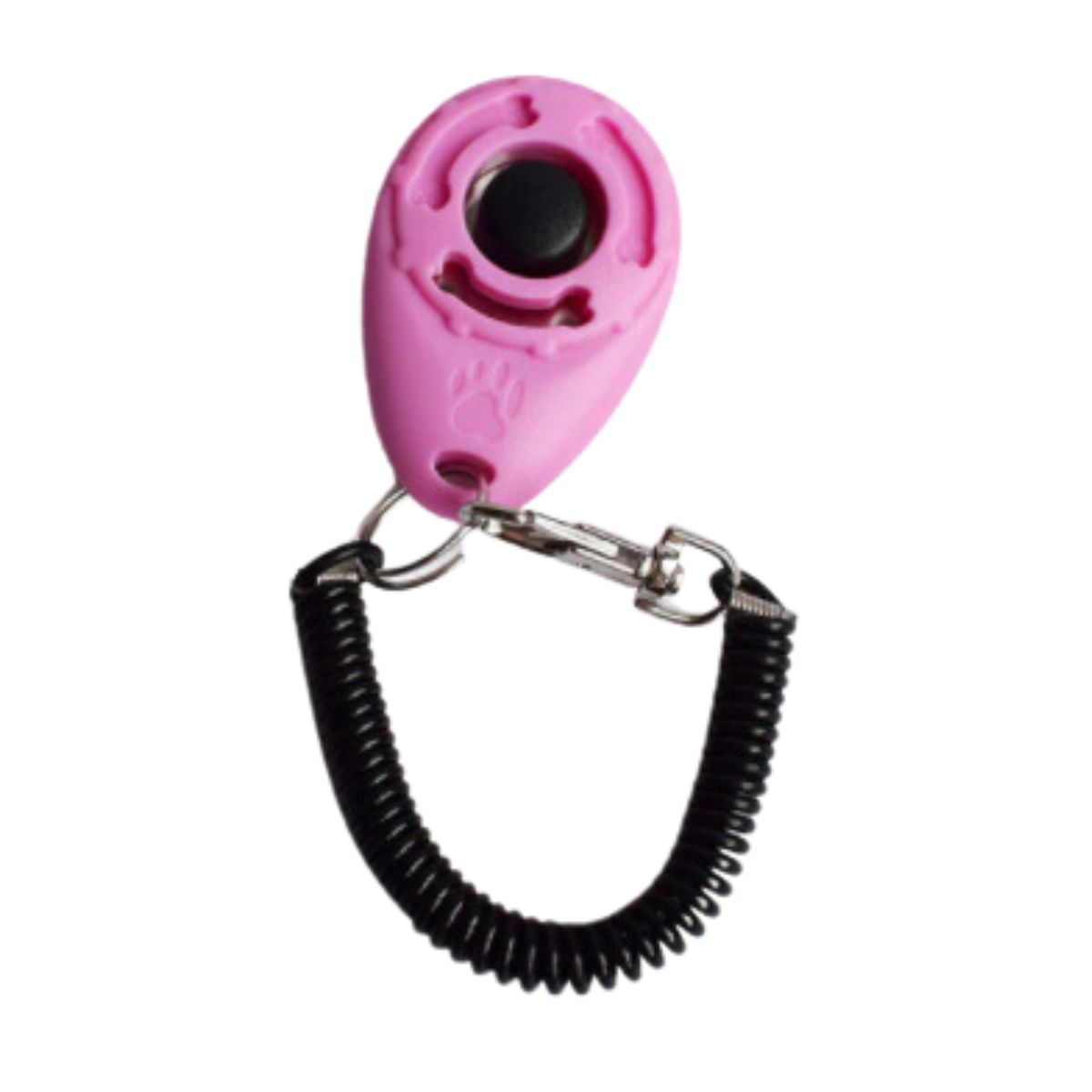 training clicker