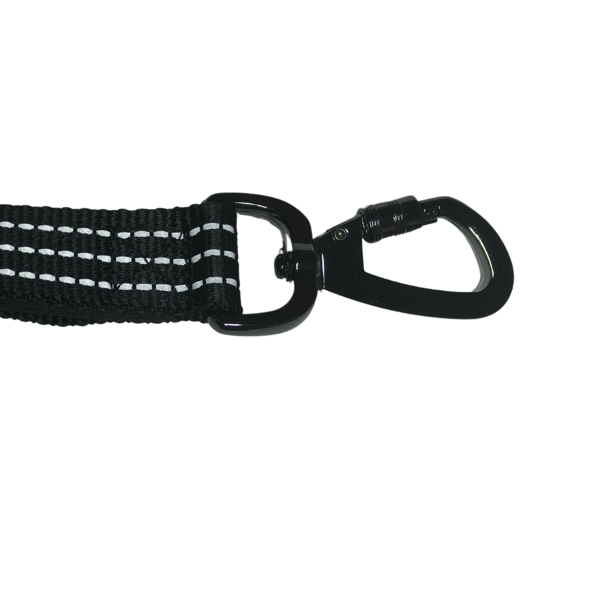 shock absorbing dog leash