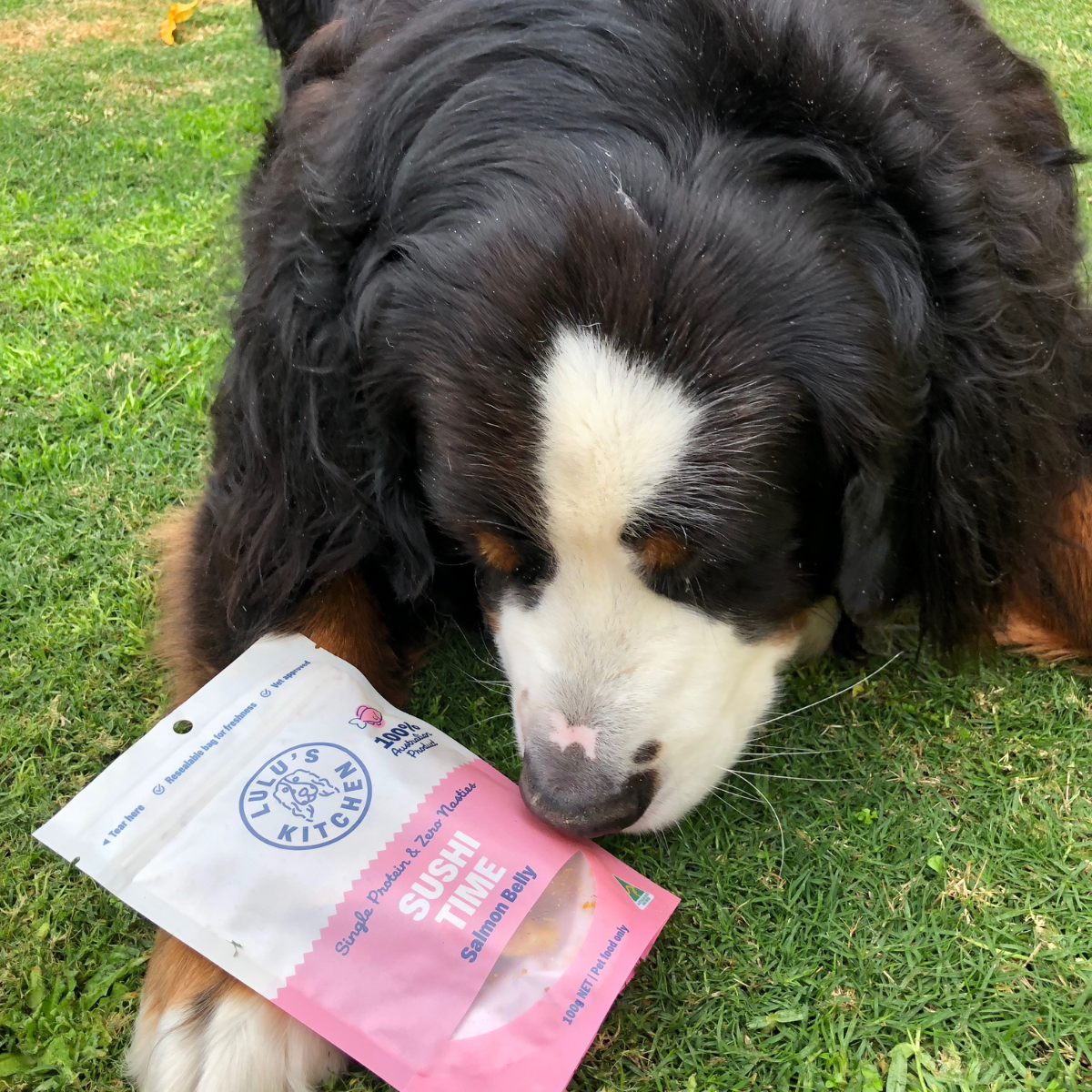 Salmon Belly Dog Treat
