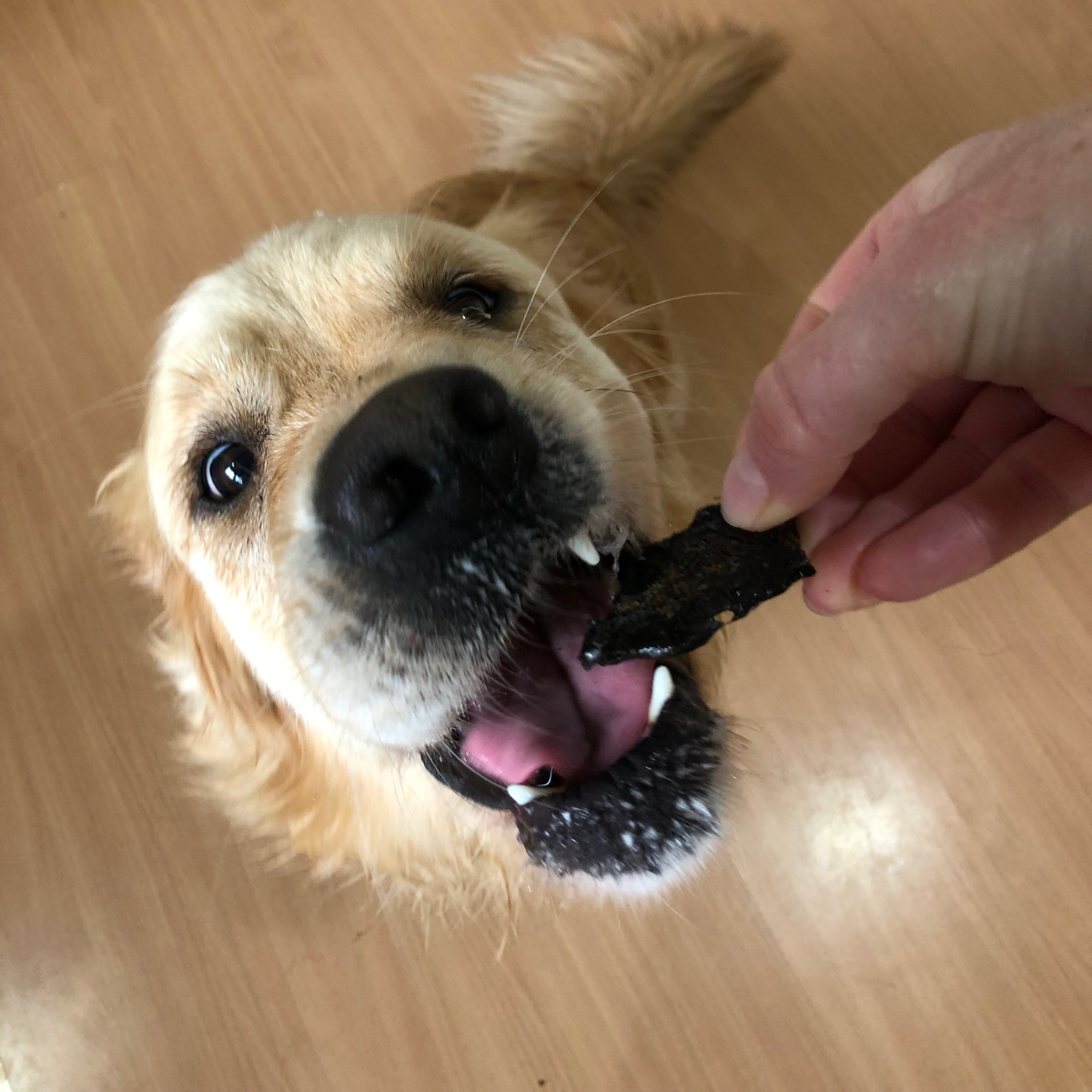 What's your Beef? Beef Liver Dog Treats