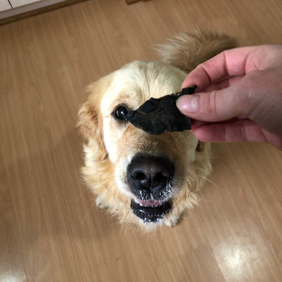 What's your Beef? Beef Liver Dog Treats