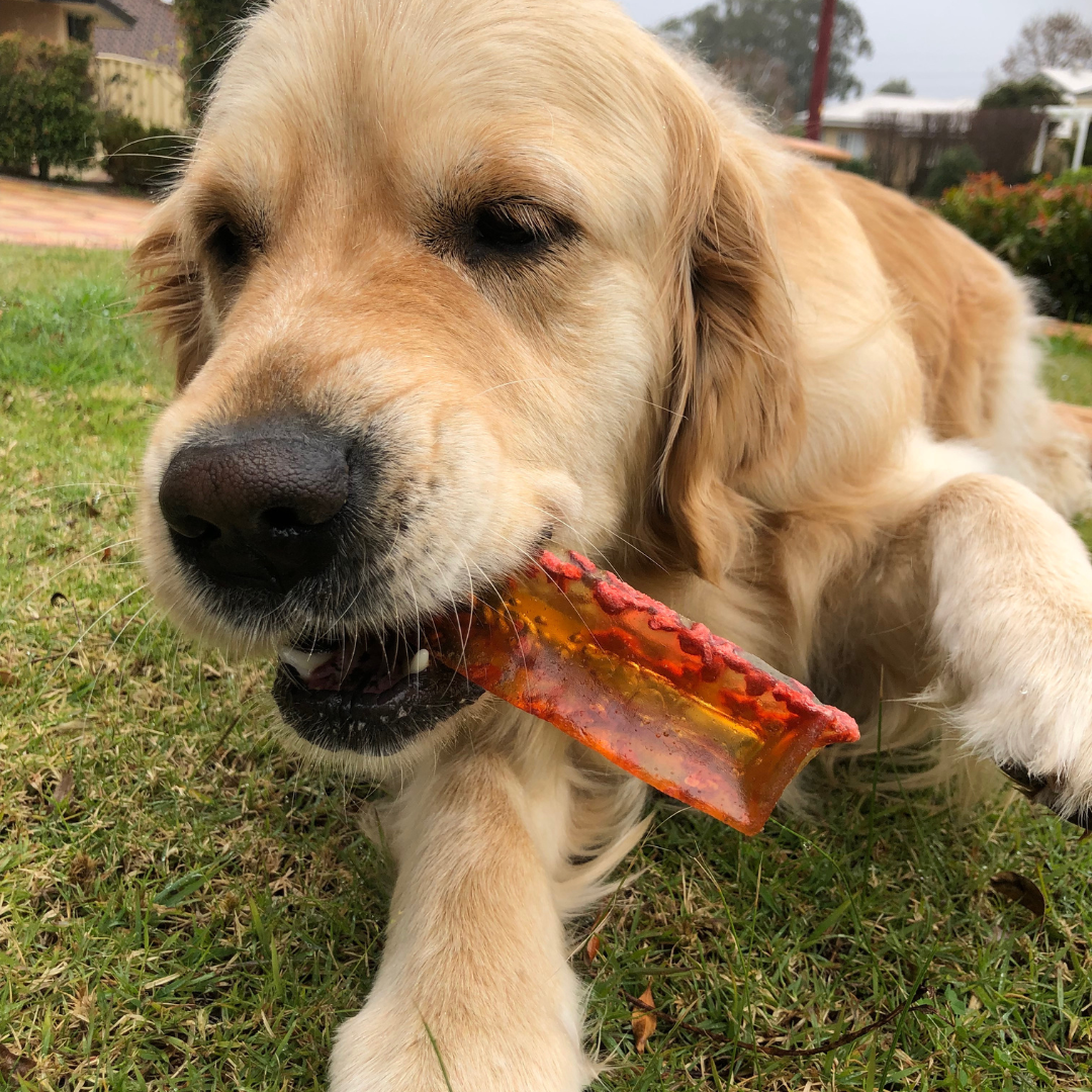 Bone Marrow Chews