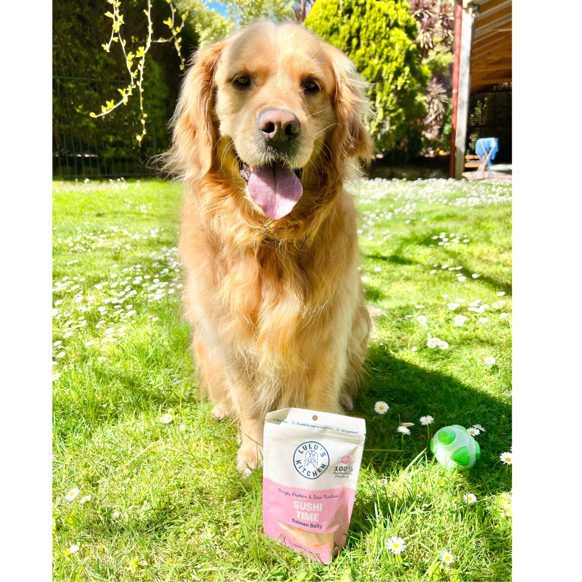 Salmon Belly Dog Treat