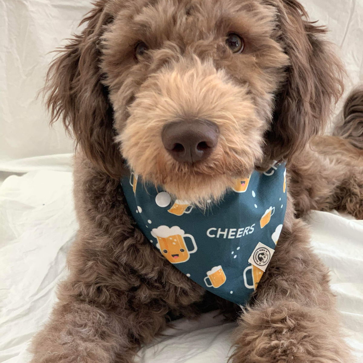 Cheers Dog Bandana