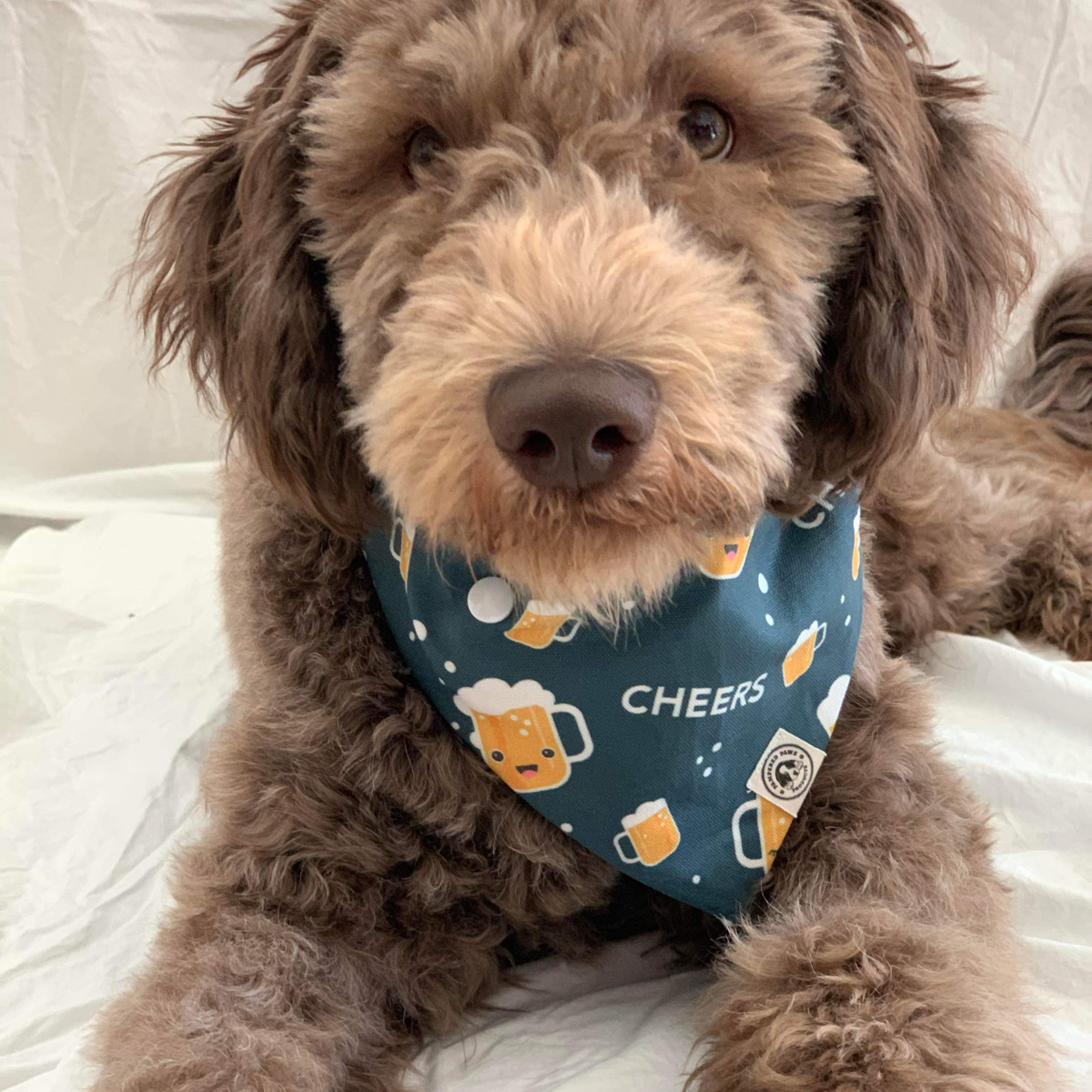 Cheers Dog bandana