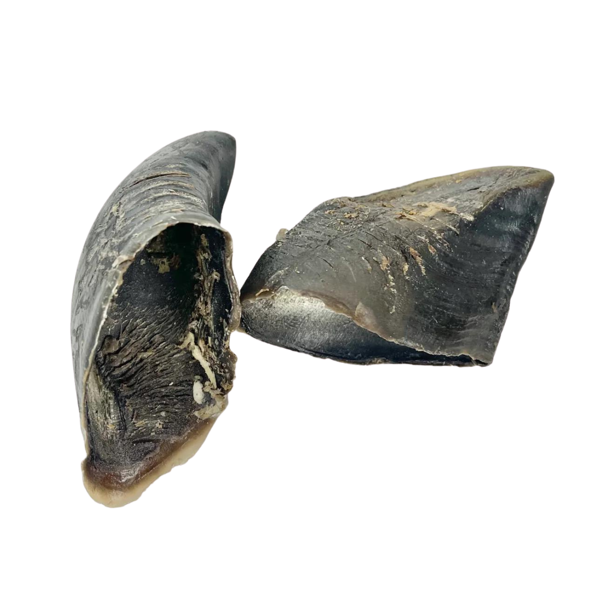 Cow hooves