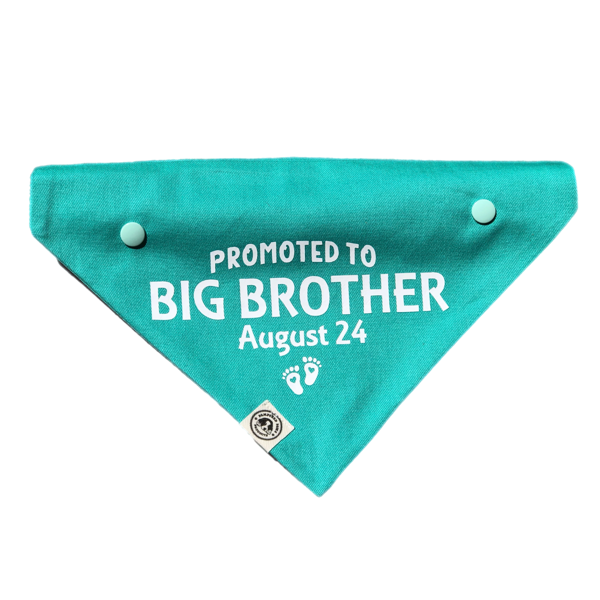 Baby Announcement - Big Brother Bandana