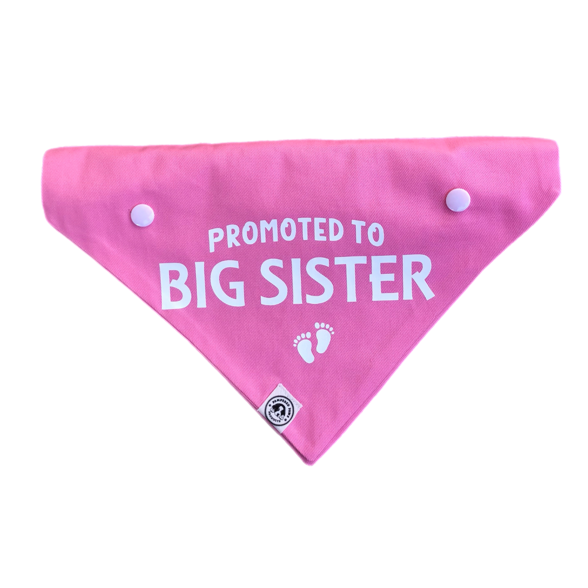 Baby Announcement - Big Brother Dog Bandana