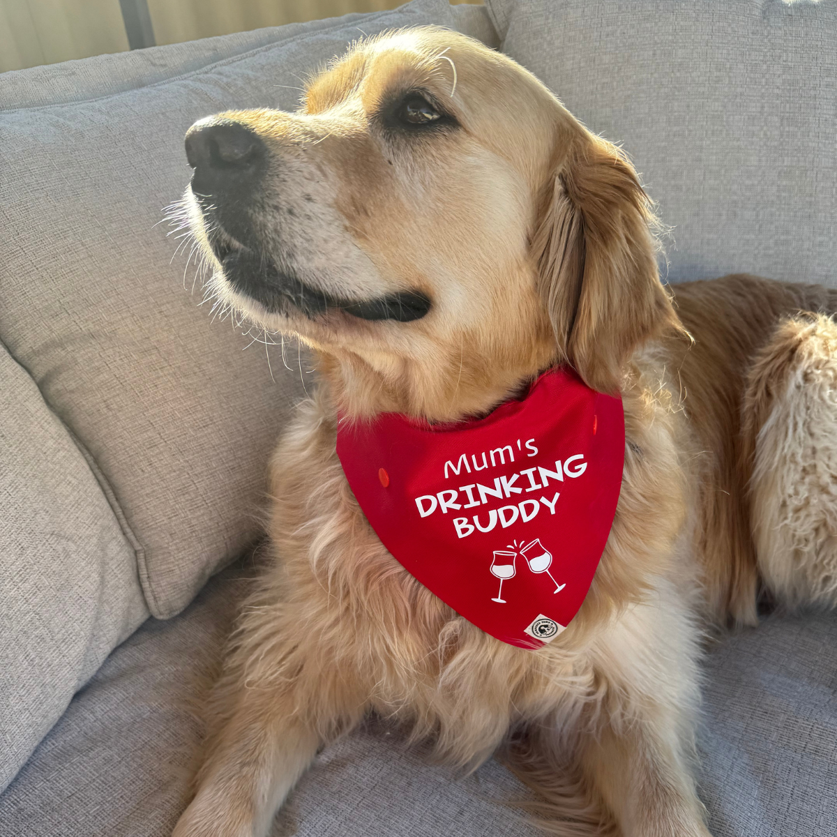 Drinking Buddy Dog Bandana