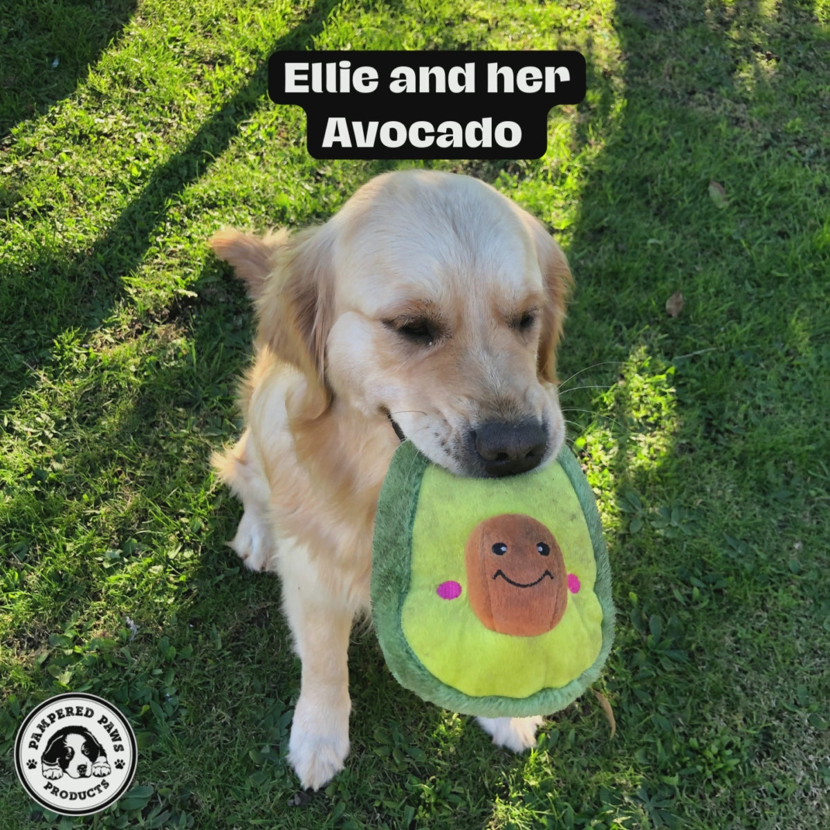 Dog toy