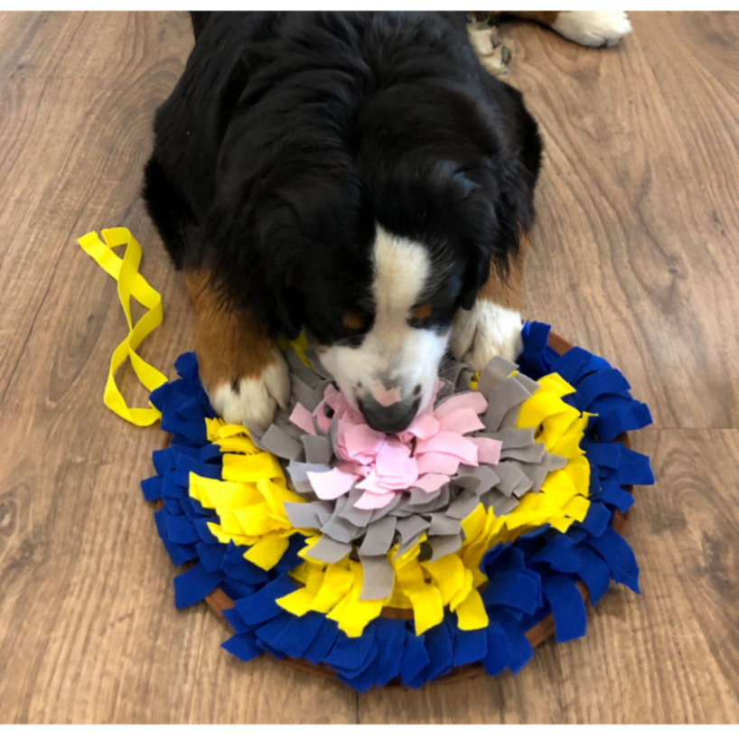 dog snuffle mat