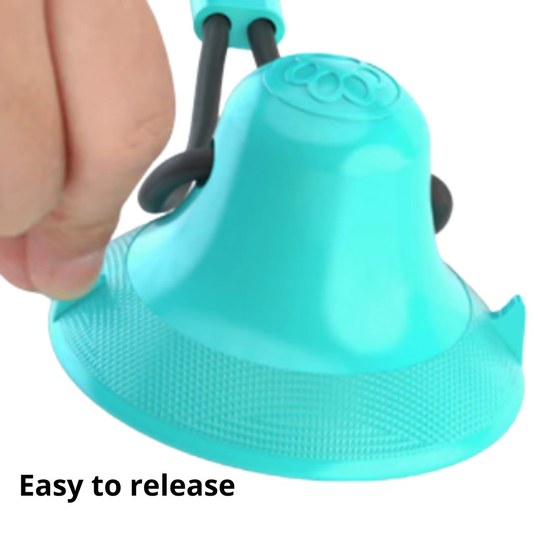 Suction Chew Dog Toy
