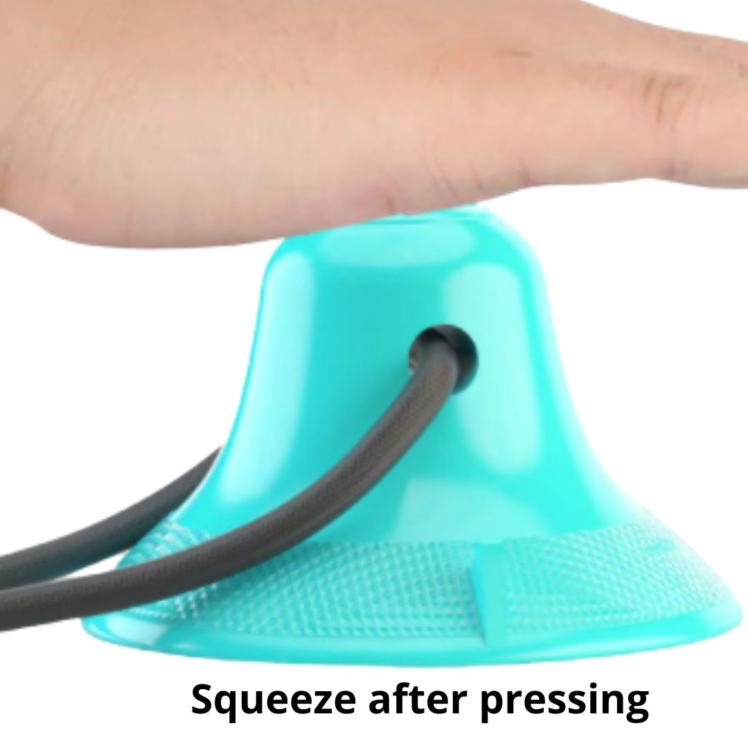Suction Chew Dog Toy