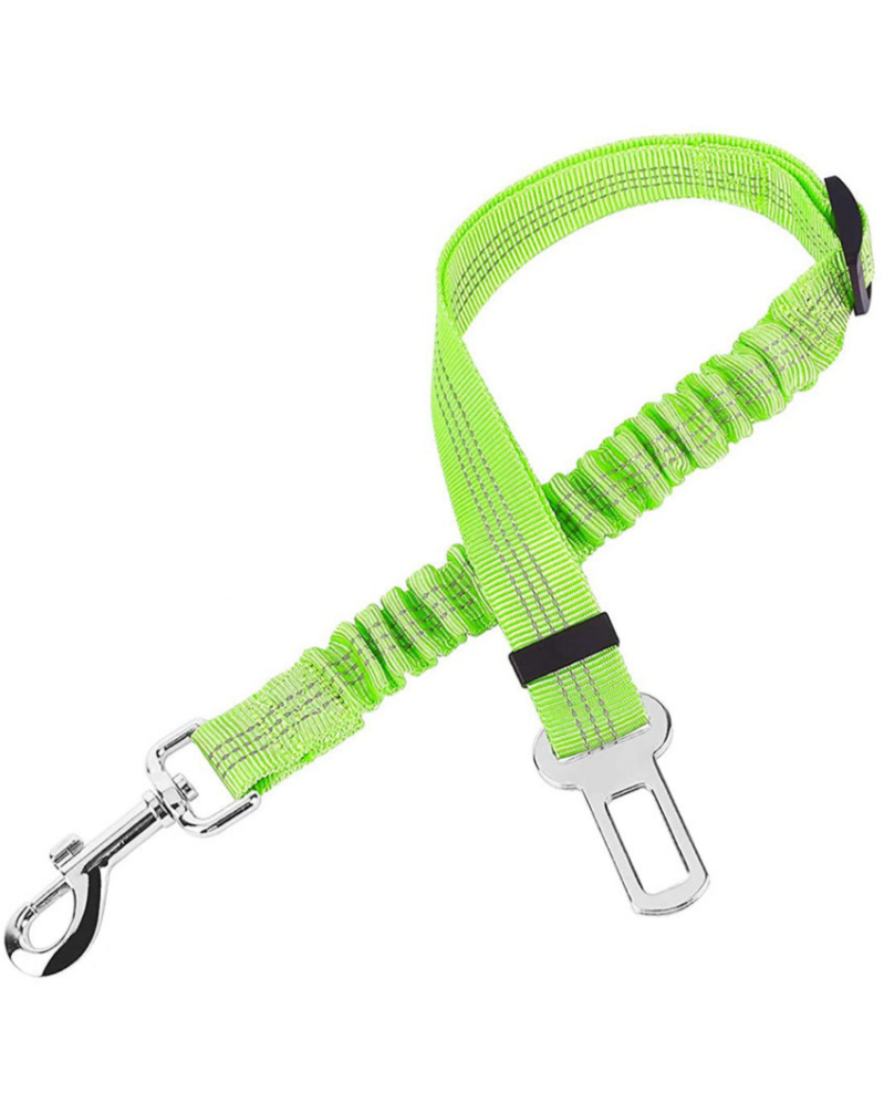 Dog seatbelt