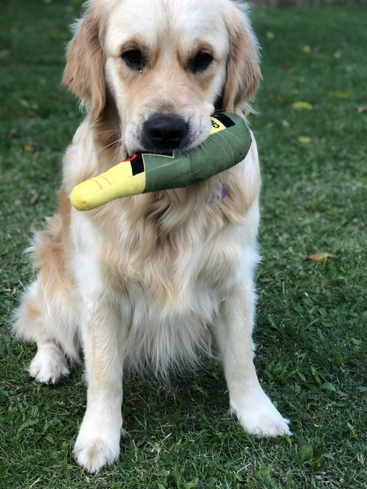 Pup Champers