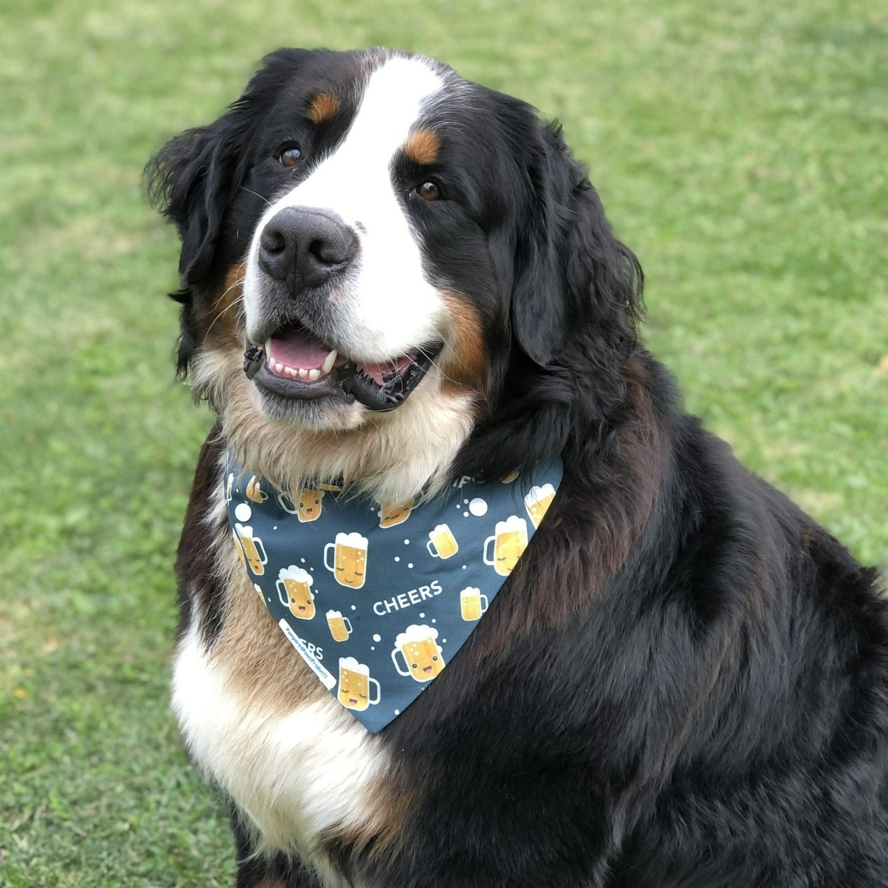 Cheers Dog bandana