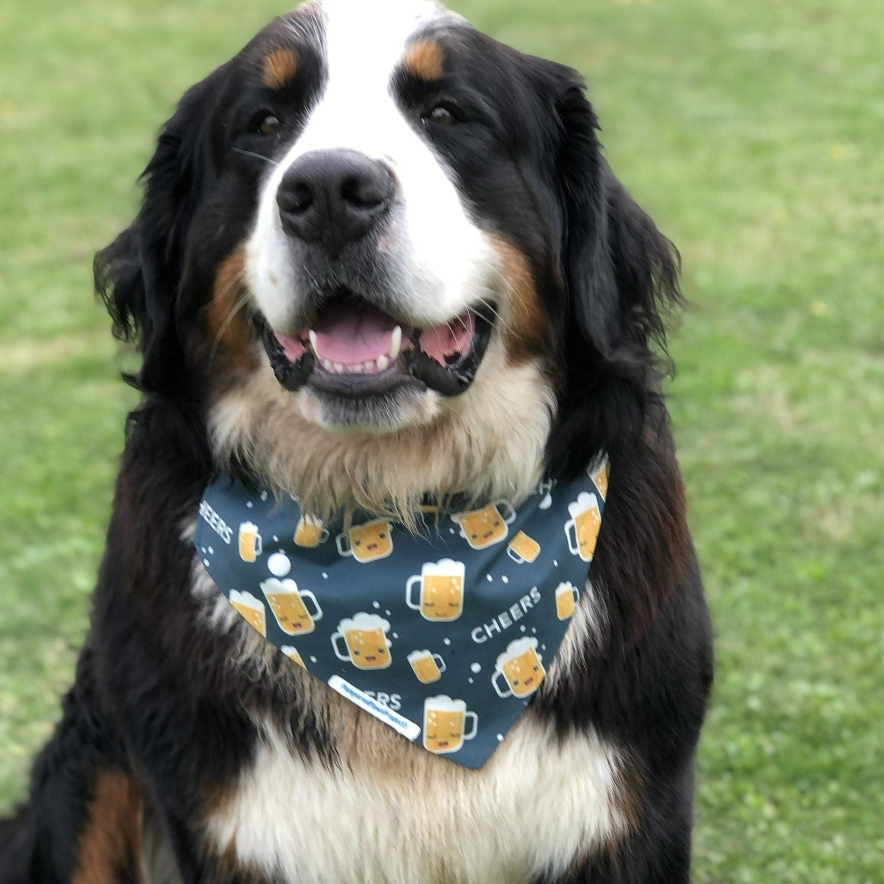 Dog bandana