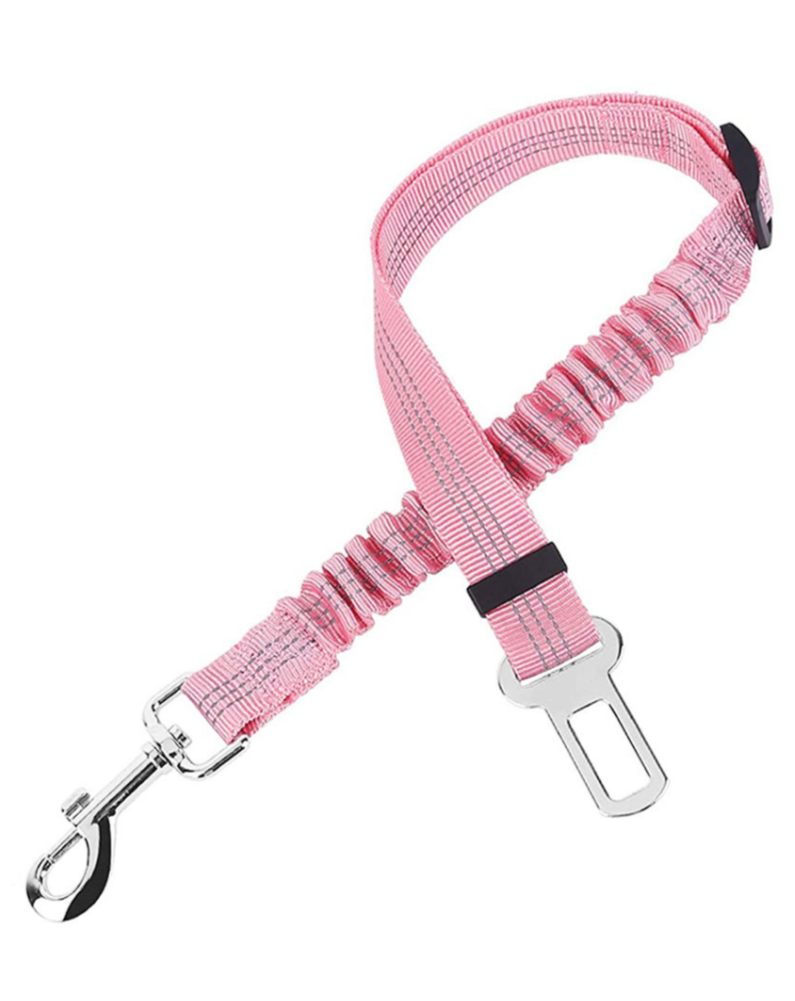 Dog seatbelt