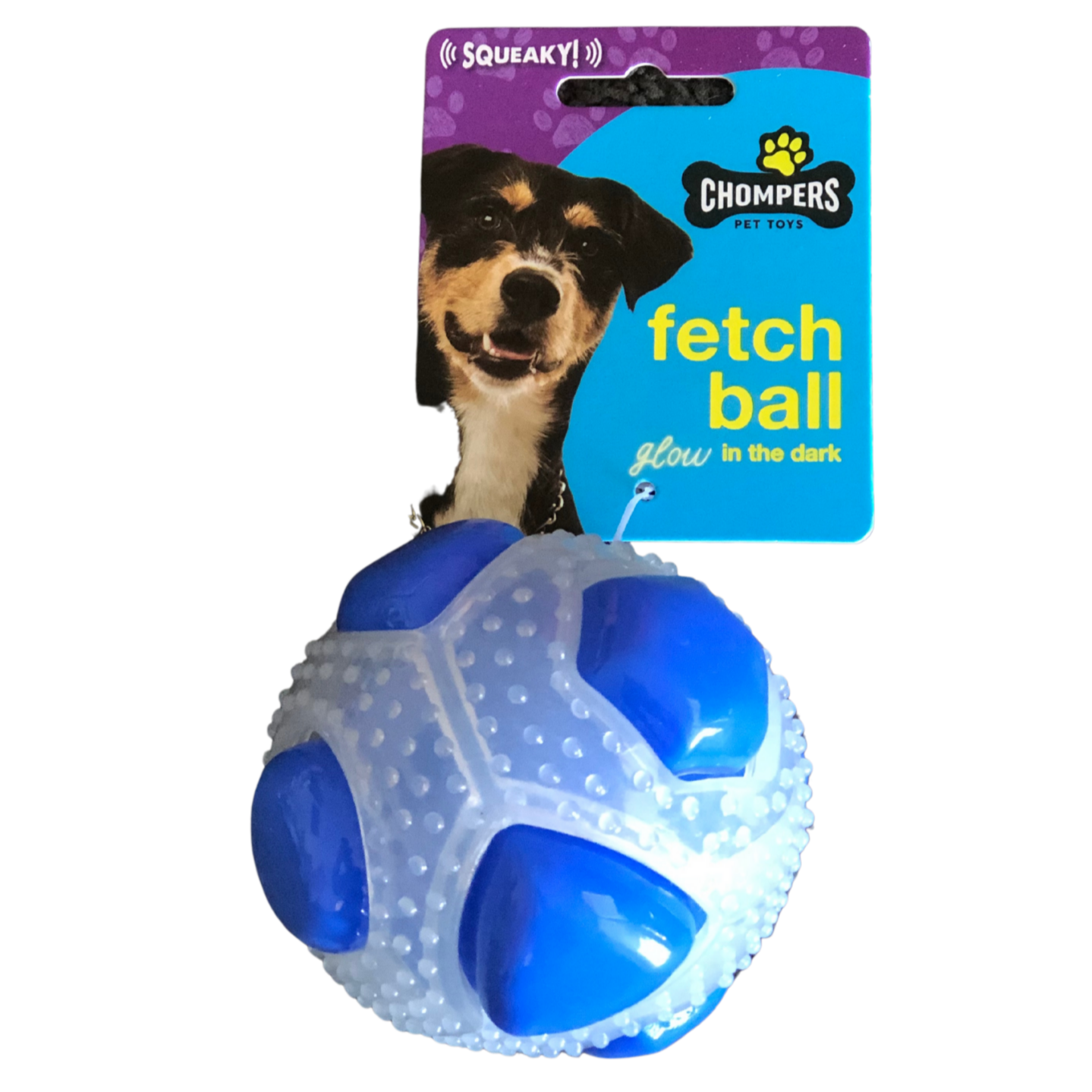 Squeaky Sensory Dog Ball