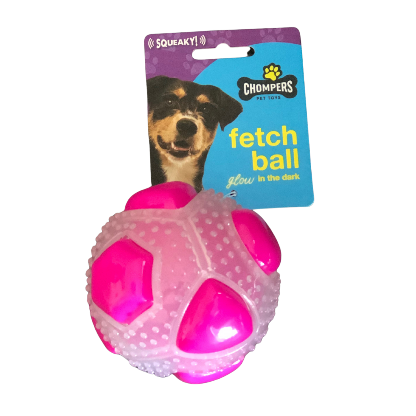 Squeaky Sensory Dog Ball